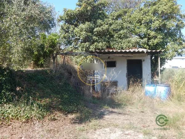 Finca agrícola de 0,265 ha en venta en Ontinyent, Valencia