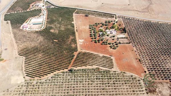 Finca rústica de 17,44 ha en venta en Carmona, Sevilla