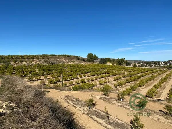 Finca agrícola de 10 ha en venta en Valencia