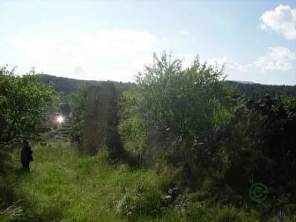 Finca rústica de 7 ha en venta en Alicante