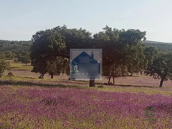 Finca rústica de 40 ha en venta en Mérida, Badajoz