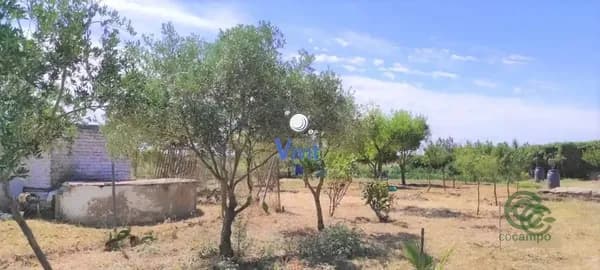Finca agrícola de 0,1 ha en venta en Utrera, Sevilla