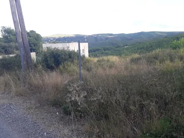 Finca rústica de 0,12 ha en venta en Bisbal del penedes (la), Tarragona
