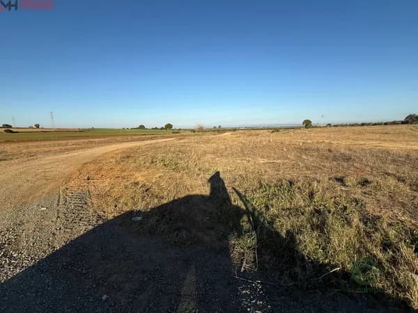 Finca rústica de 1,6461 ha en venta en Carmona, Sevilla