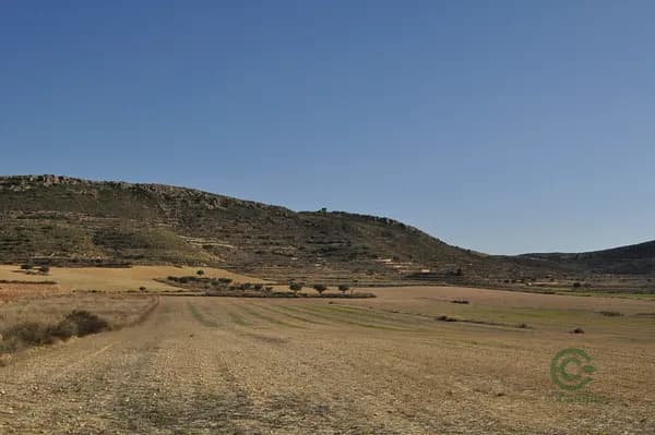 Finca rústica de 11,5 ha en venta en Jumilla, Murcia