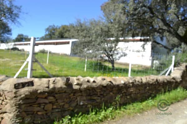 Finca rústica de 0,1629 ha en venta en Segura de leon, Badajoz