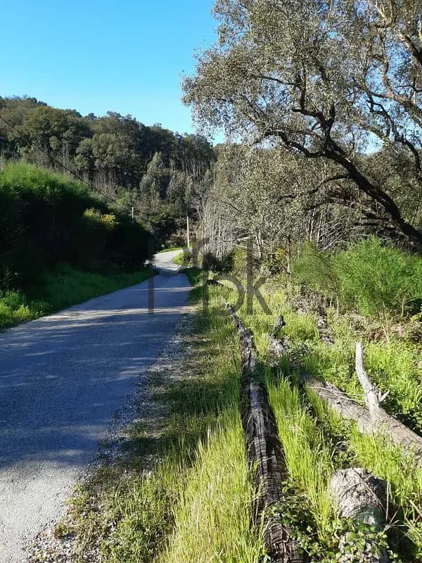 Fazenda rustica de 1,95 ha para venda em Faro