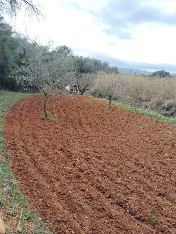 Finca rústica de 0,2209 ha en venta en Traiguera, Castellon