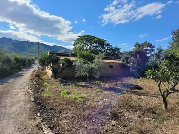 Finca agrícola de 0,465 ha en venta en Amposta, Tarragona