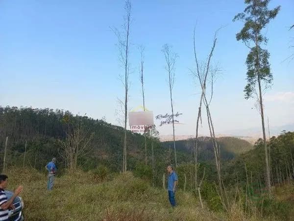 Fazenda rustica de 247,18 ha para venda em São paulo