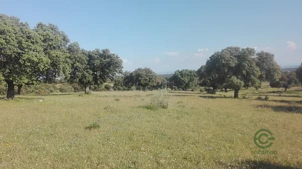 Finca rústica de 18 ha en venta en Toledo