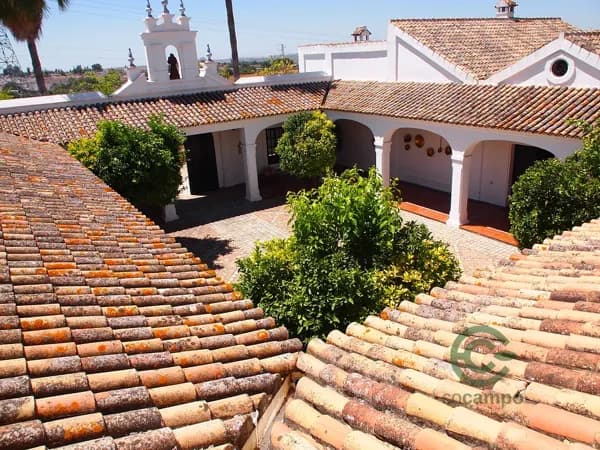 Finca rústica de 4 ha en venta en Sevilla