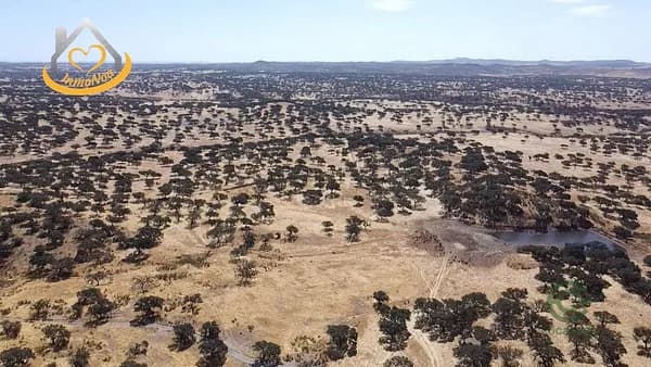 Finca rústica de 105,8832 ha en venta en Puebla de guzman, Huelva