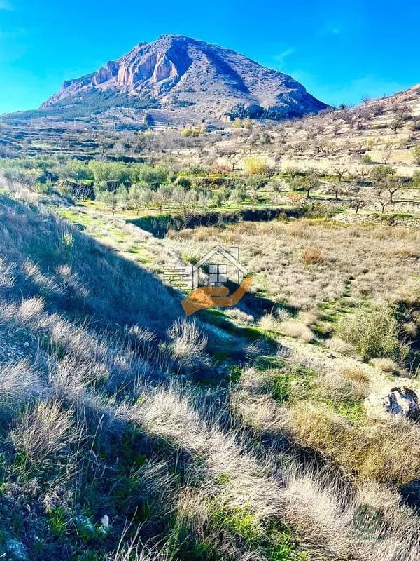 Finca agrícola de 0,4193 ha en venta en Velez-blanco, Almeria