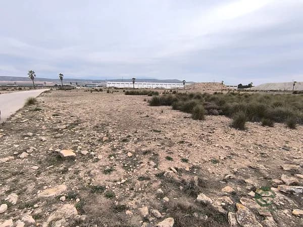 Finca agrícola de 9,5 ha en venta en Yecla, Murcia