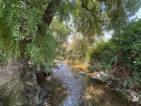 Finca rústica de 1167,323 ha en venta en Cazalla de la sierra, Sevilla