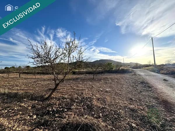 Finca agrícola de 0,5687 ha en venta en Monovar, Alicante