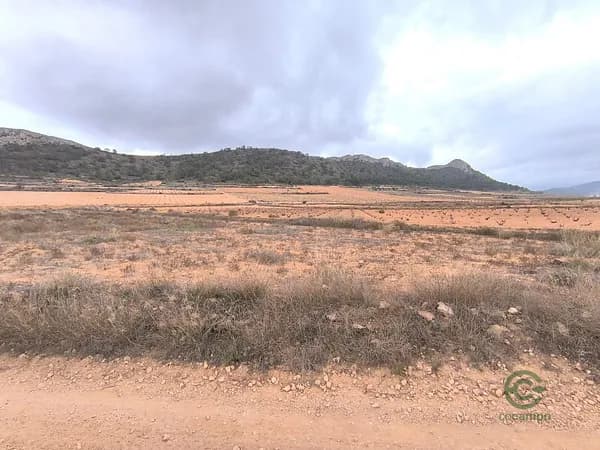 Finca agrícola de 0,3775 ha en venta en La solana, Alicante