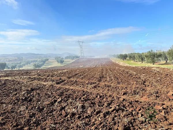 Finca rústica de 5,1 ha en venta en Mérida, Badajoz