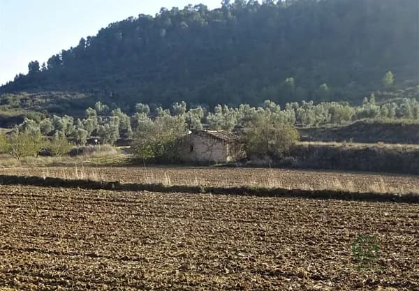Finca agrícola de 2,86 ha en venta en Maella, Zaragoza