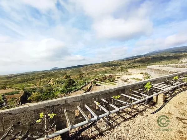 Finca agrícola de 0,25 ha en venta en Arico, Santa cruz de tenerife