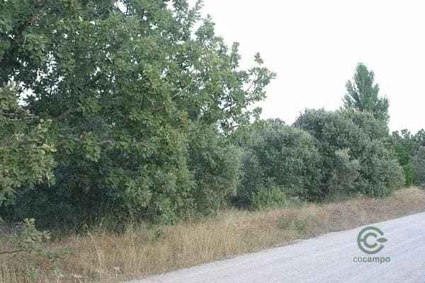 Terreno urbano de 0,25 ha en venta en Segovia