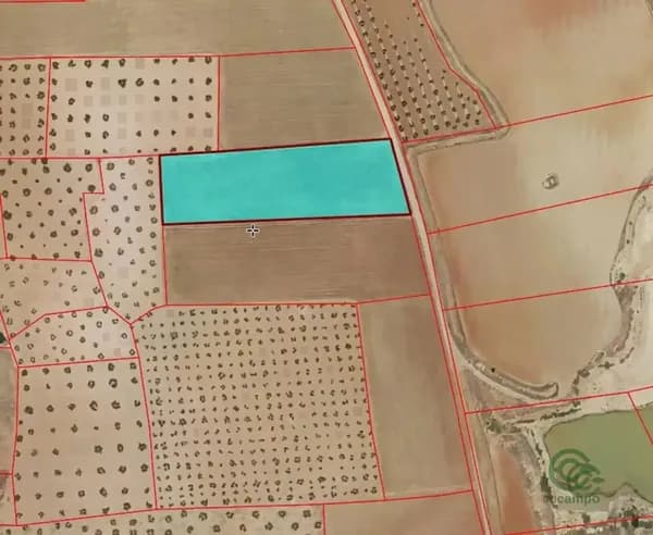 Finca agrícola de 0,88 ha en venta en Torrenueva, Ciudad real