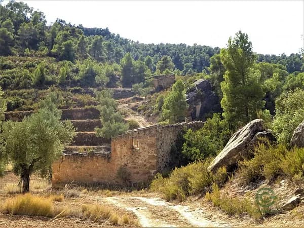 Finca rústica de 6,53 ha en venta en Zaragoza