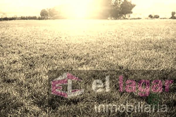 Finca agrícola de 45 ha en venta en La garrovilla, Badajoz