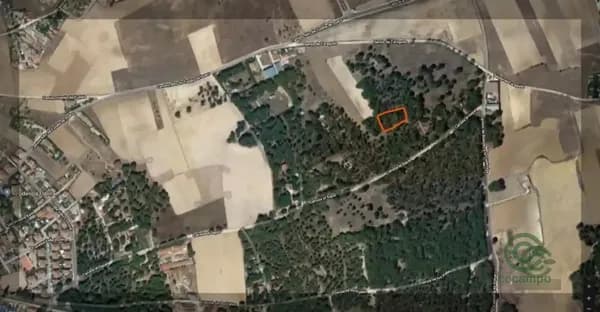 Finca forestal de 0,4756 ha en venta en Laguna de duero, Valladolid