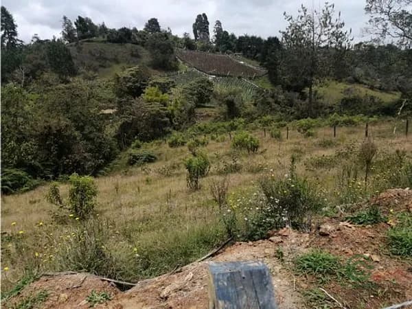 Finca rústica de 0,355 ha en venta en Antioquia