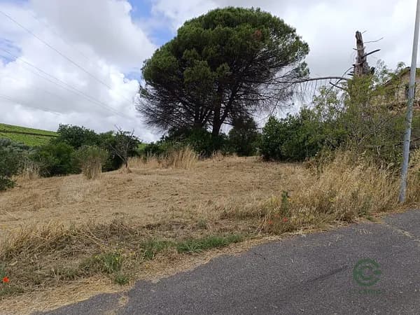 Finca agricola di 0,3 ha per vendita a Lazio