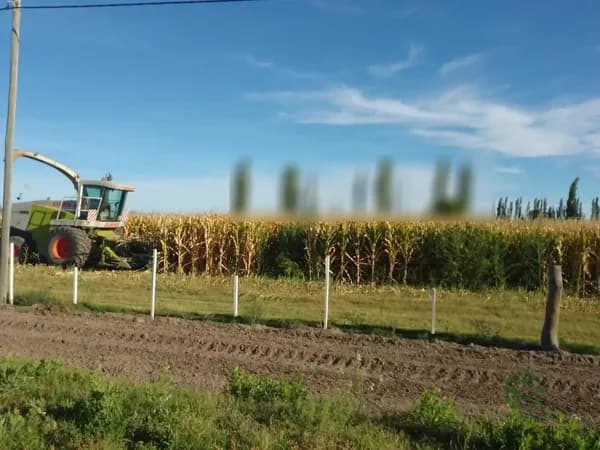Finca rústica de 26 ha en venta en Mendoza