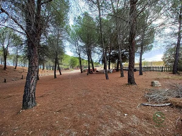 Finca de recreo de 0,1 ha en venta en Fuensanta, Albacete