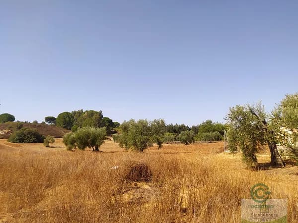 Finca rústica de 0,2747 ha en venta en Villarrasa, Huelva