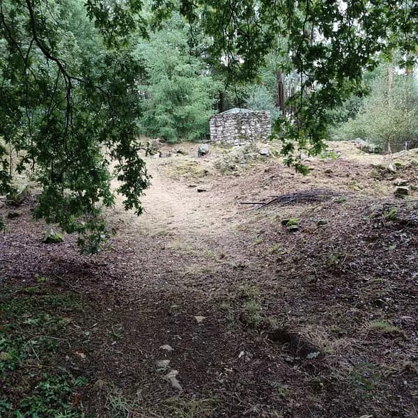 Finca agrícola de 0,7063 ha en venta en Cotobade, Pontevedra