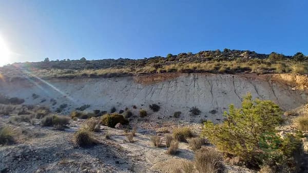 Finca rústica de 0,4 ha en venta en La romana, Alicante