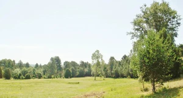 Finca rústica de 500 ha en venta en Cuenca