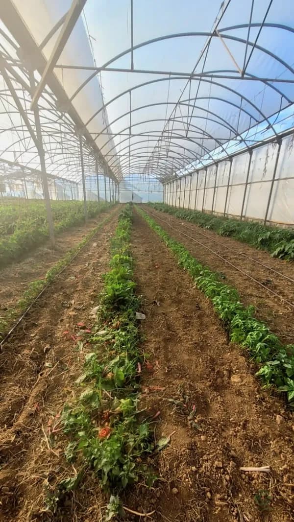 Finca agrícola de 2 ha en venta en Barcelona