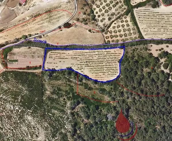Finca agrícola de 0,6075 ha en venta en Tarragona