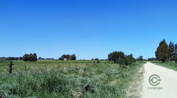 Finca rústica de 2 ha en venta en Buenos aires