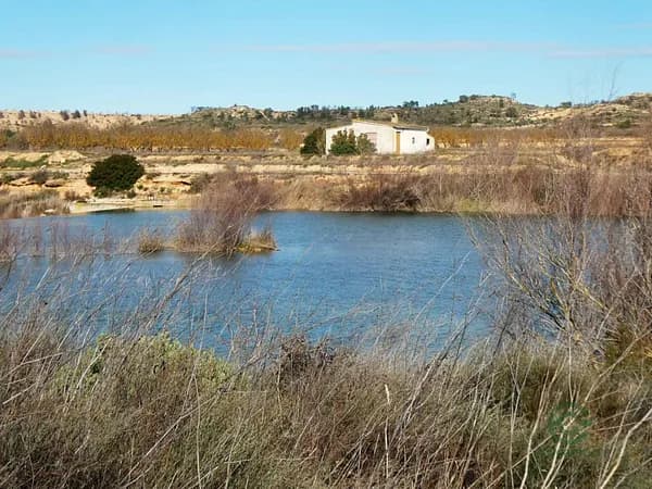 Finca rústica de 0,7 ha en venta en Zaragoza