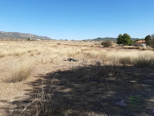 Finca rústica de 0,377 ha en venta en Pinoso, Alicante