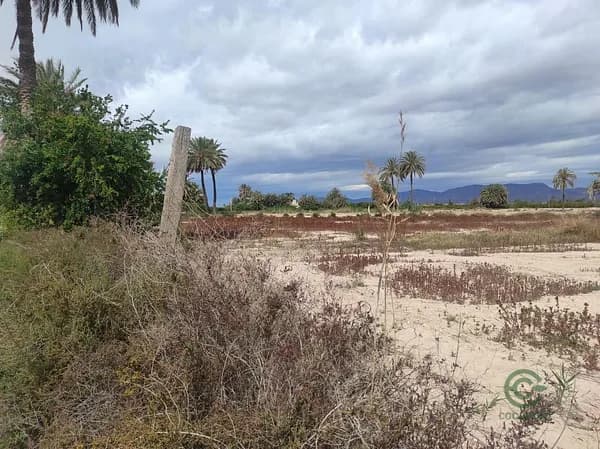 Finca agrícola de 1,7 ha en venta en Elche pedanias, Alicante