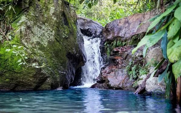 Fazenda rustica de 2 ha para venda em São paulo