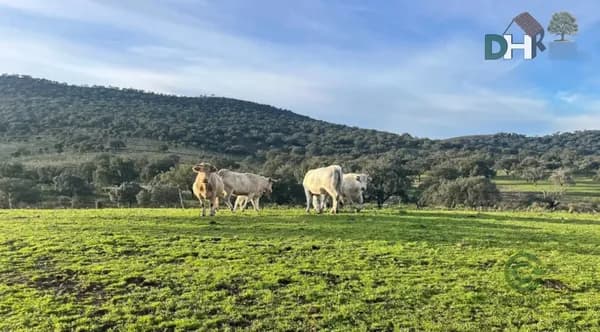 Finca rústica de 300 ha en venta en 