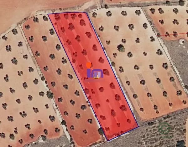 Finca agrícola de 0,45 ha en venta en San carlos del valle, Ciudad real