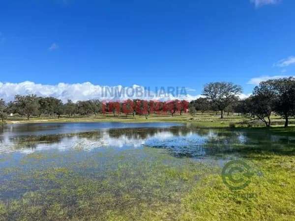 Finca rústica de 42 ha en venta en Cáceres