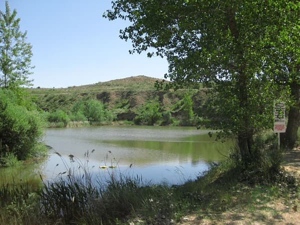 Finca rústica de 139 ha en venta en Madrid