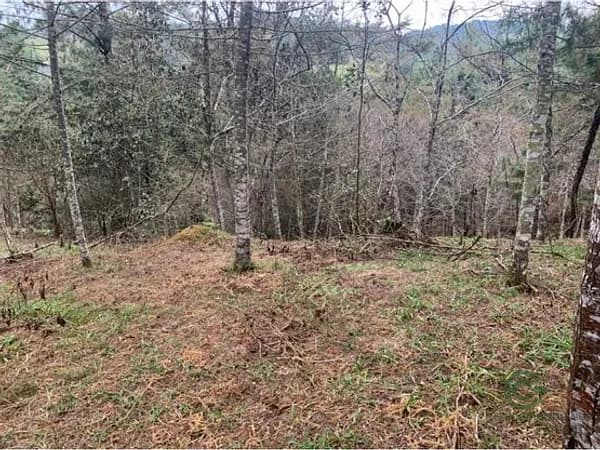 Finca rústica de 0,5 ha en venta en Antioquia